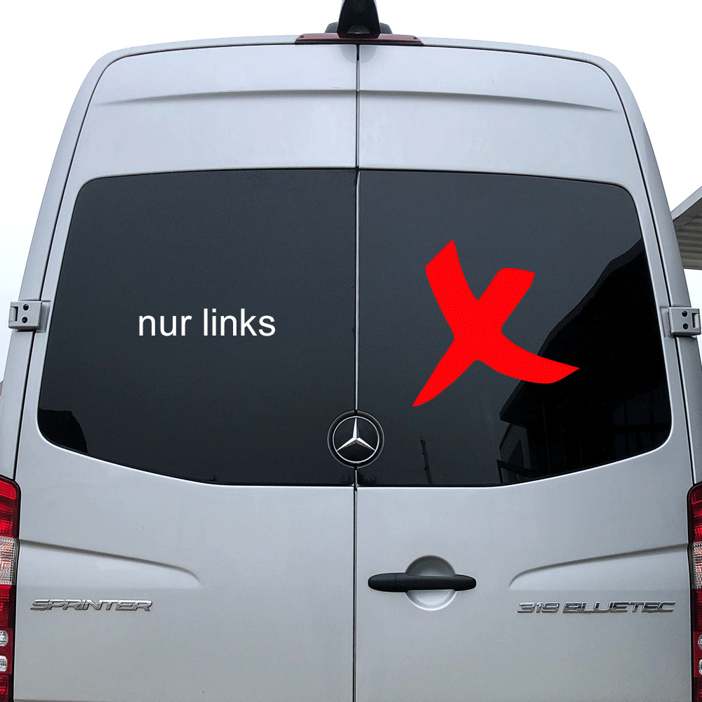 Hecktürscheibe links für Mercedes Sprinter W906 bis 2017 *L1-L4*
