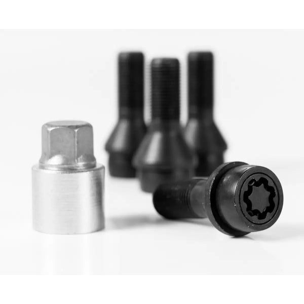 Felgenschloss Ducato Maxi Fiat Ducato Maxi-Modelle - M16x1.5x33mm
