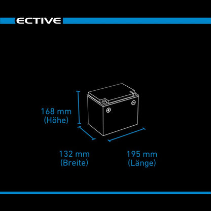 ECTIVE DC 38SC GEL Deep Cycle mit PWM-Ladegerät und LCD-Anzeige 38Ah Versorgungsbatterie