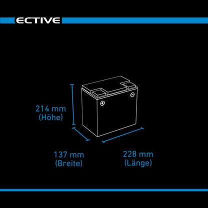 ECTIVE DC 65SC GEL Deep Cycle mit PWM-Ladegerät und LCD-Anzeige 65Ah Versorgungsbatterie