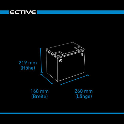 ECTIVE DC 85SC GEL Deep Cycle mit PWM-Ladegerät und LCD-Anzeige 85Ah Versorgungsbatterie